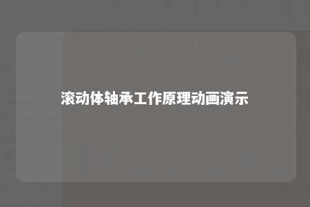 滚动体轴承工作原理动画演示 